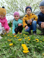 Экологическая экскурсия в парк Экологическая экскурсия в парк.
